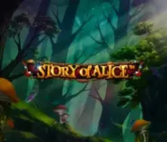 Story of Alice bei Qbet Casino