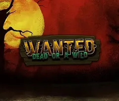 Wanted Dead or a Wild bei Qbet Casino